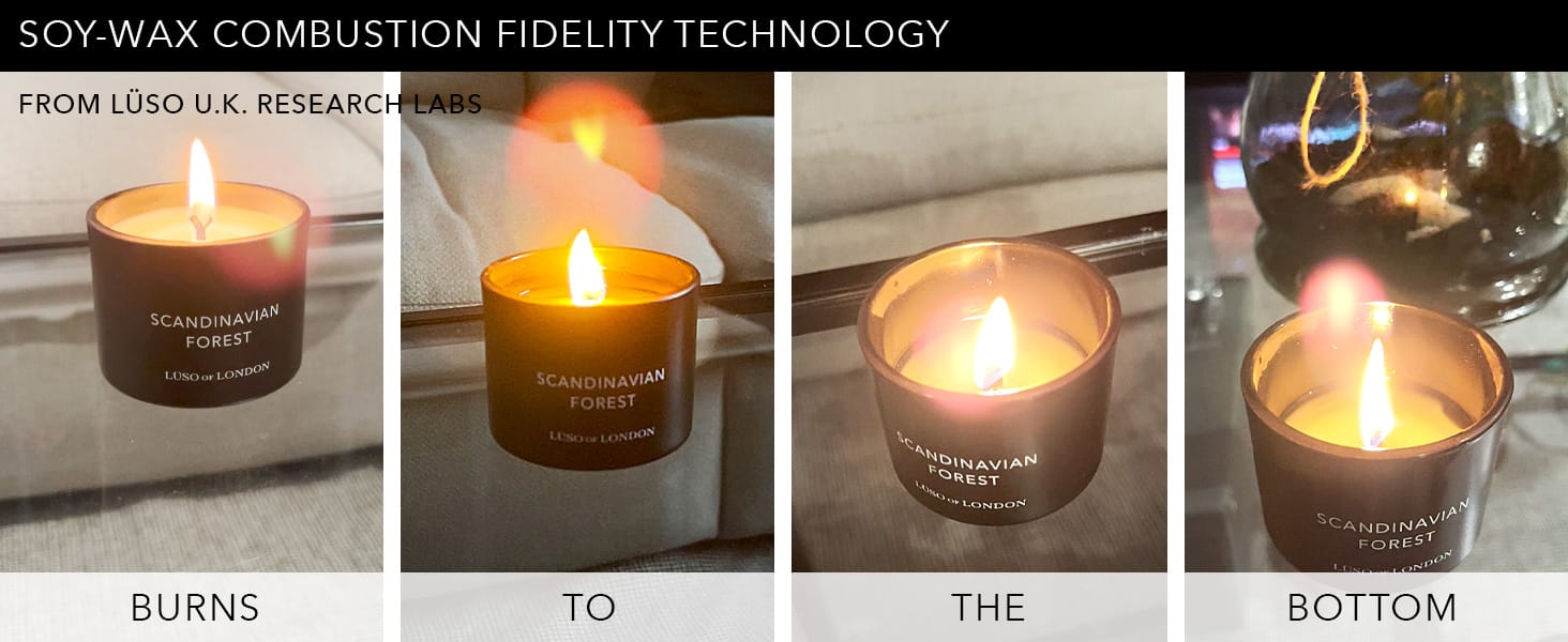 Lüso of London Rugged Forest Candle Collection Trio Set