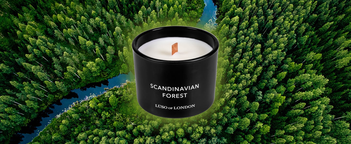 Lüso of London Rugged Forest Candle Collection Trio Set