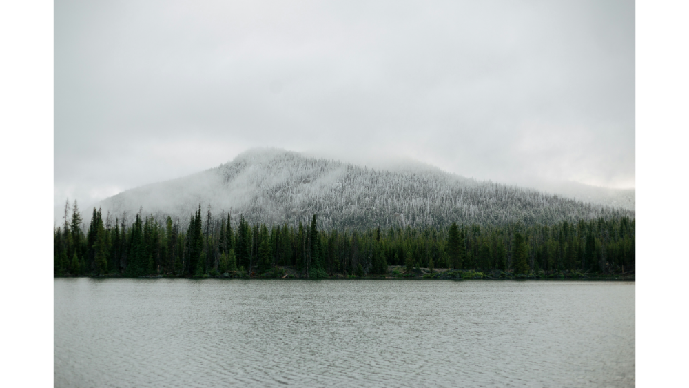 Foggy view of a pine-covered mountain behind a calm lake with overcast skies.