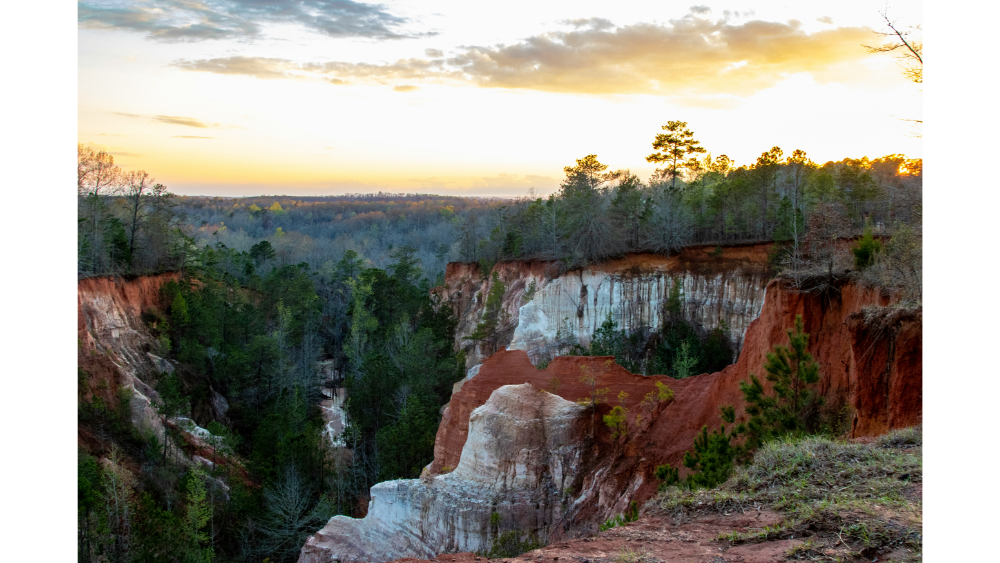 Colorful canyon landscape at sunset, featuring unique red, orange, and white rock formations with a forested backdrop.