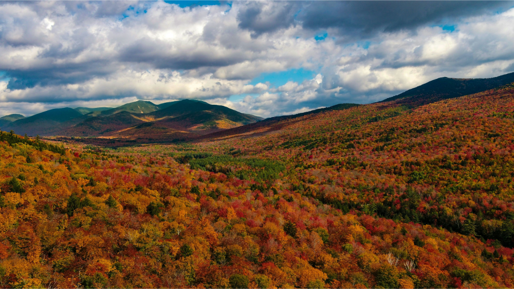 Panoramic view of the White Mountains covered in vibrant fall foliage under a dramatic sky.