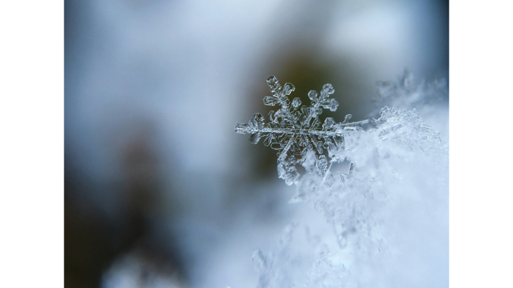 Macro shot of a delicate, detailed snowflake resting on a bed of soft, icy snow with a blurred winter background.