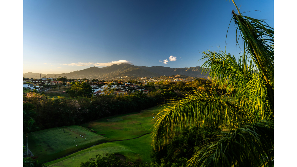 Lush green valley with palm trees and mountain backdrop under a clear blue sky in Costa Rica.