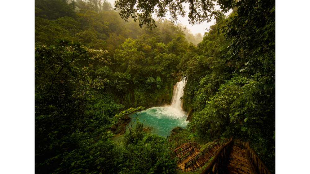 Waterfall pouring into a turquoise pool surrounded by dense rainforest and rustic stairway.