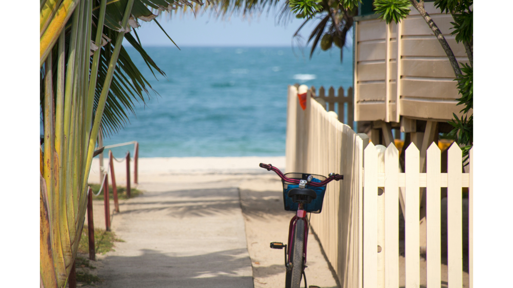 A quiet path leading to the beach in Key West, Florida, framed by palm trees and a white picket fence.