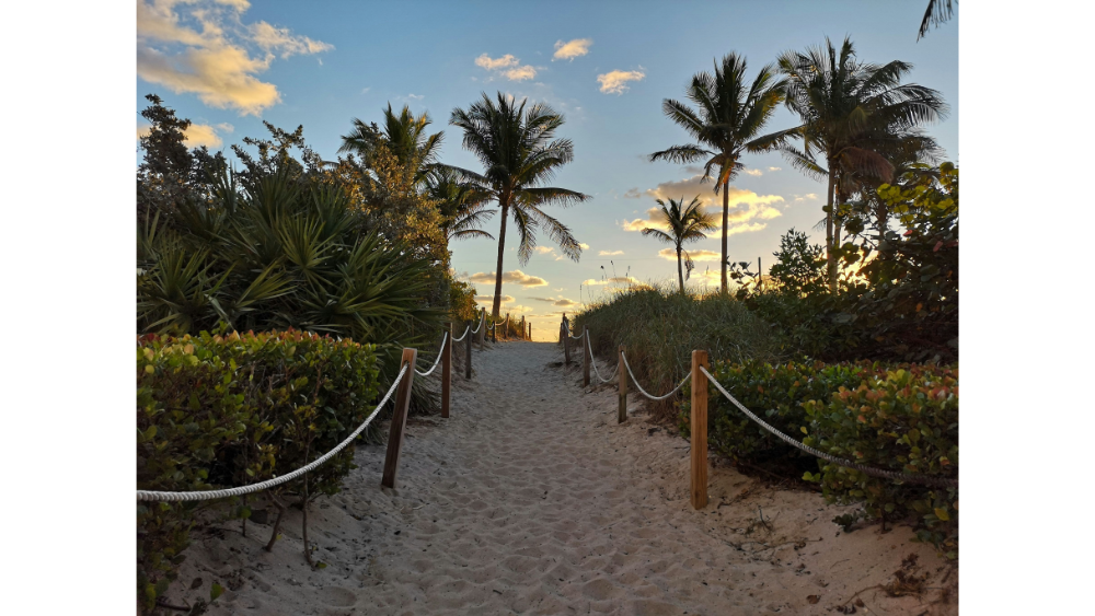 Roped sandy pathway leading through tropical greenery and palm trees to a beach at sunset.