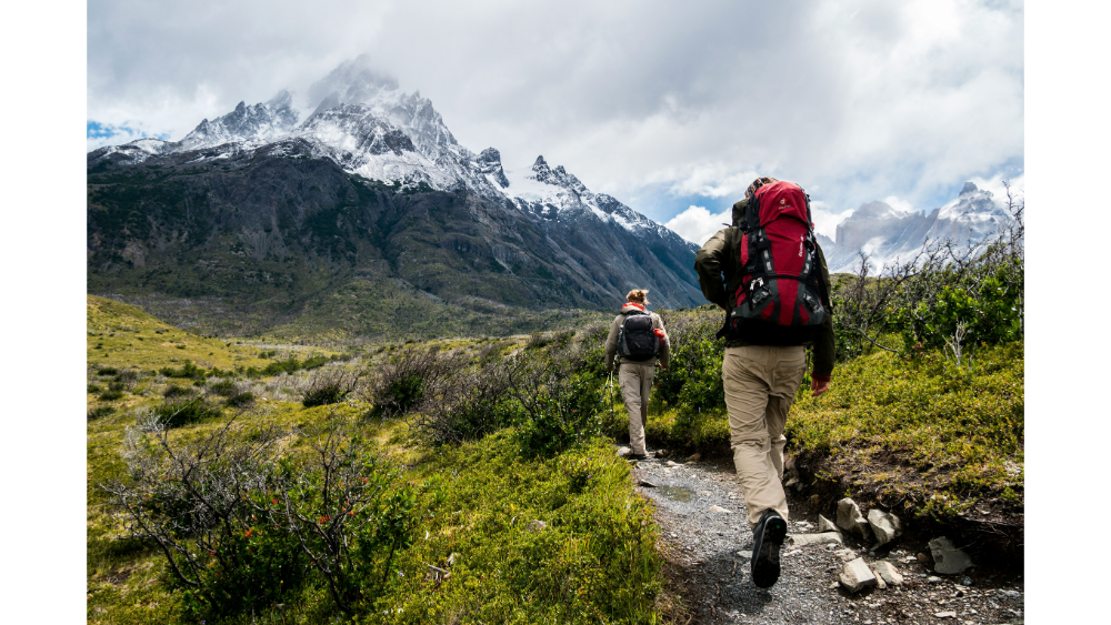 Two hikers trekking along a trail surrounded by greenery with snow-capped mountains in the distance.