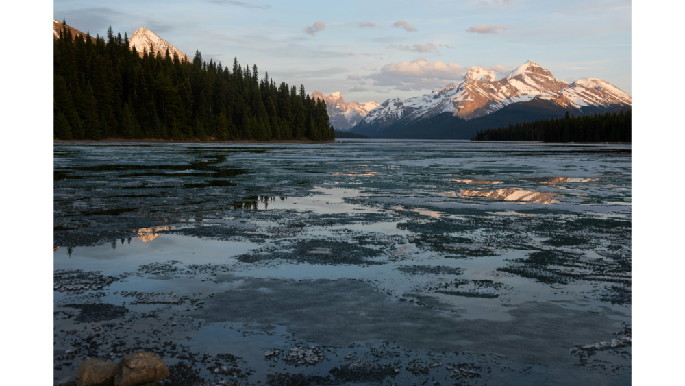 Snow-capped mountains reflecting off a partially frozen lake bordered by dense evergreen forest.