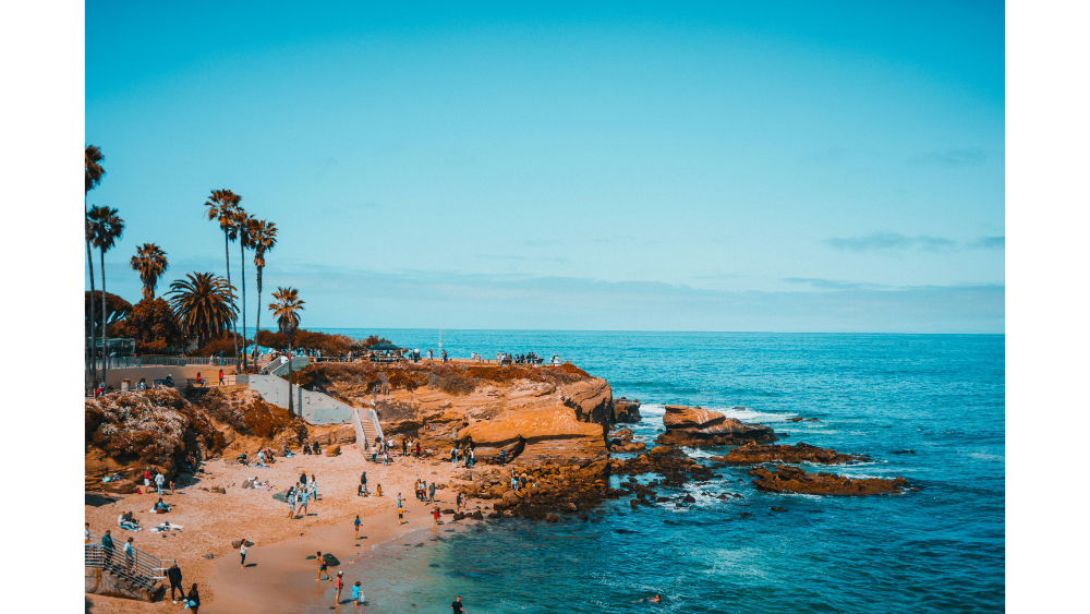 Coastal scene of a sunny beach with people enjoying the sand and ocean near rocky cliffs and palm trees in San Diego, California.