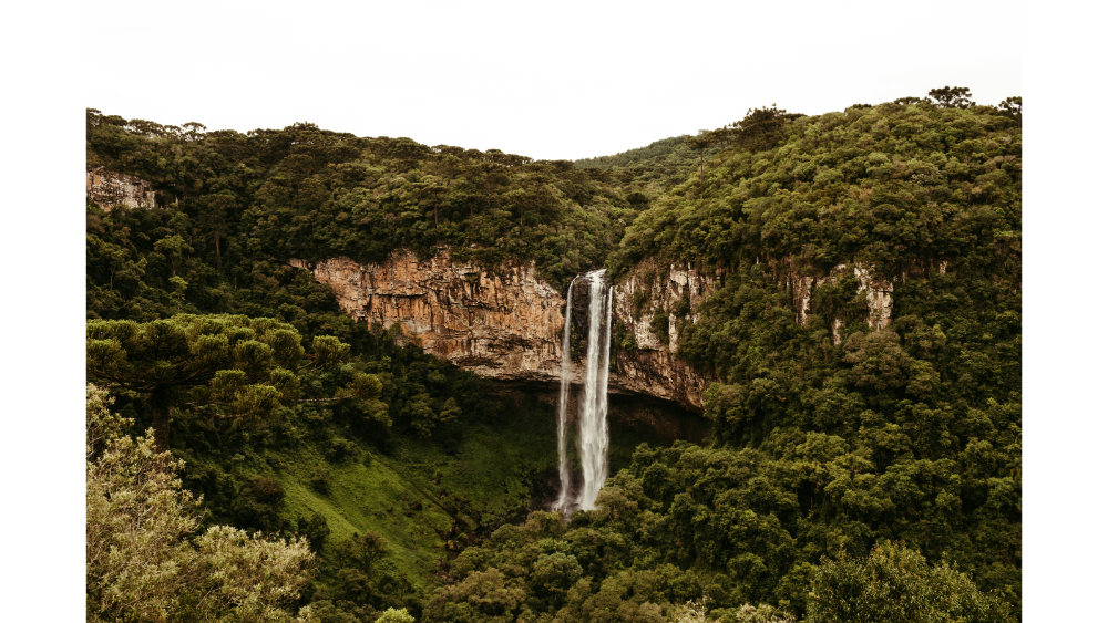 Scenic waterfall cascading over a cliff surrounded by dense green forest and rugged rocky terrain.