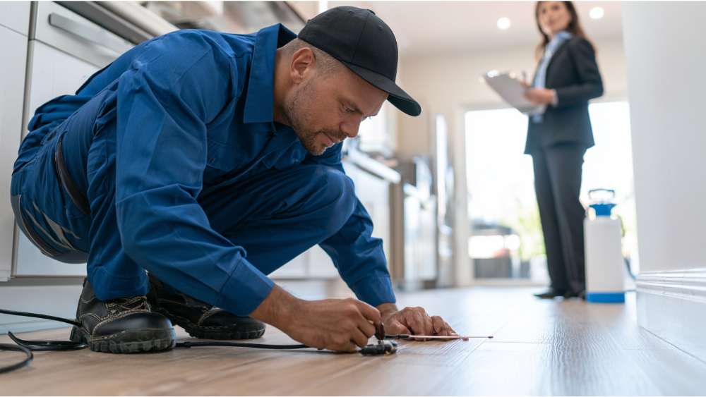 Professional pest control technician treating a residential rental property for pest prevention.