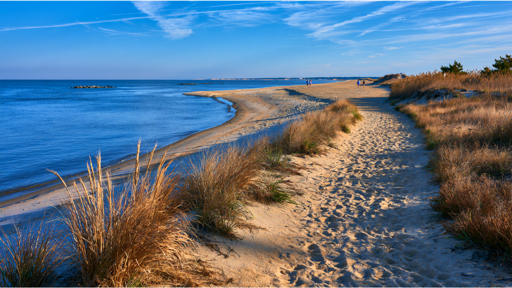 Outdoor Life: Cape Henlopen State Park, Lewes Beach, and Parks