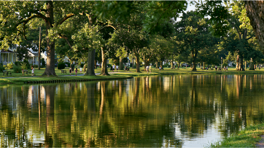 Outdoor Recreation and Parks in Dover