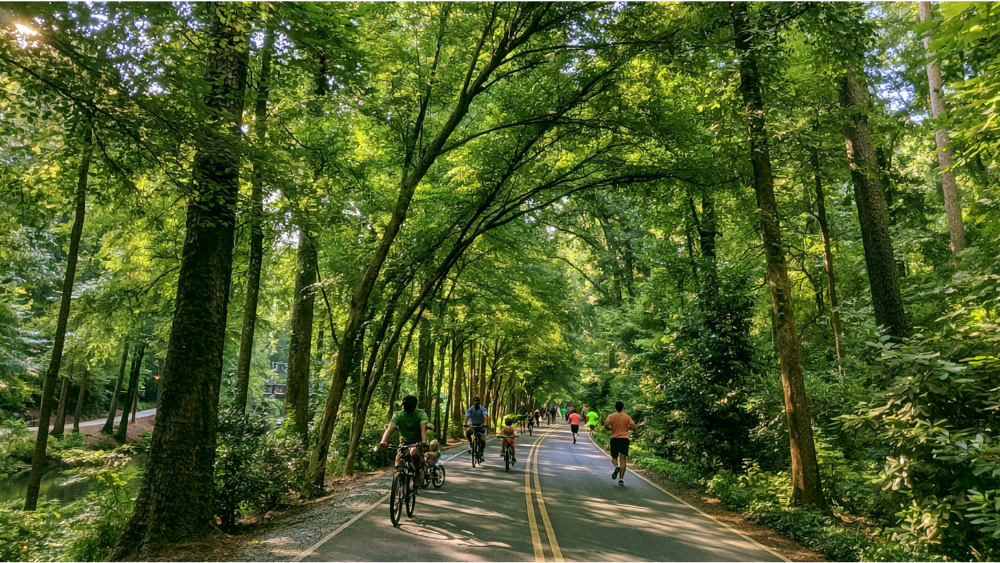 Should You Move to Alpharetta? The Quick Answer