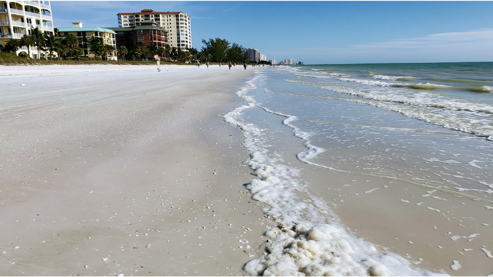 Beaches, Islands, and What Fort Myers Offers Near the Water