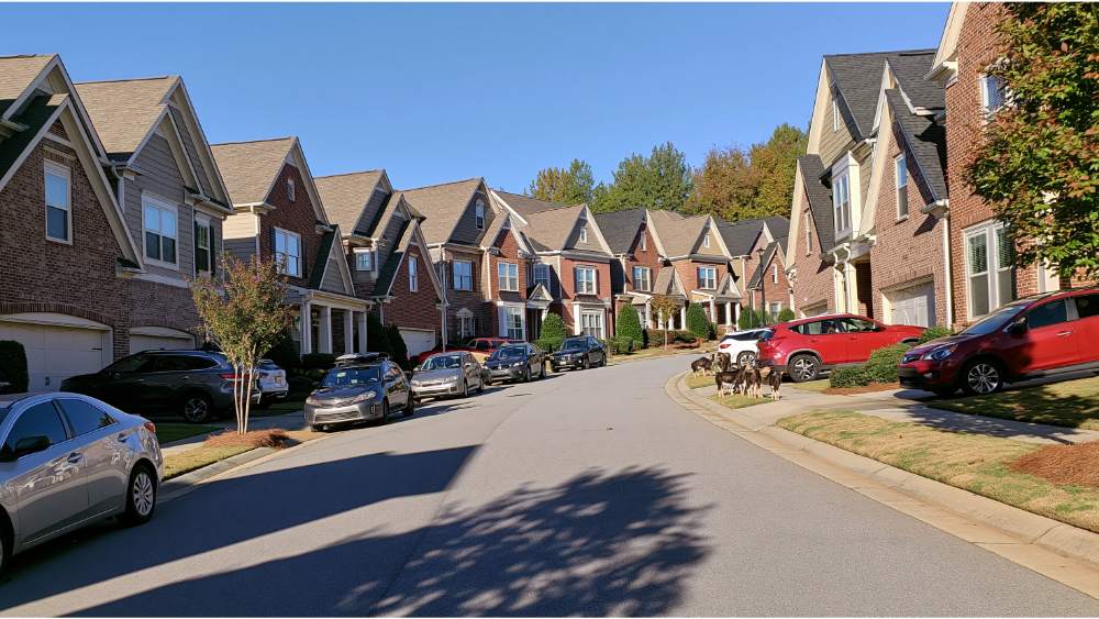 How KT Rents Helps You Move to Alpharetta