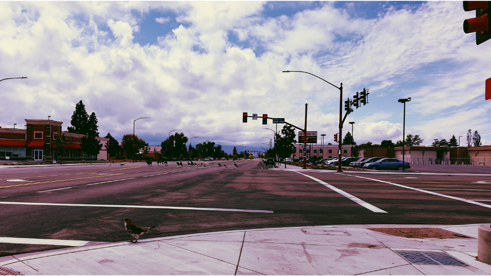 Jobs, the Commute, and Getting Around Eagle Road