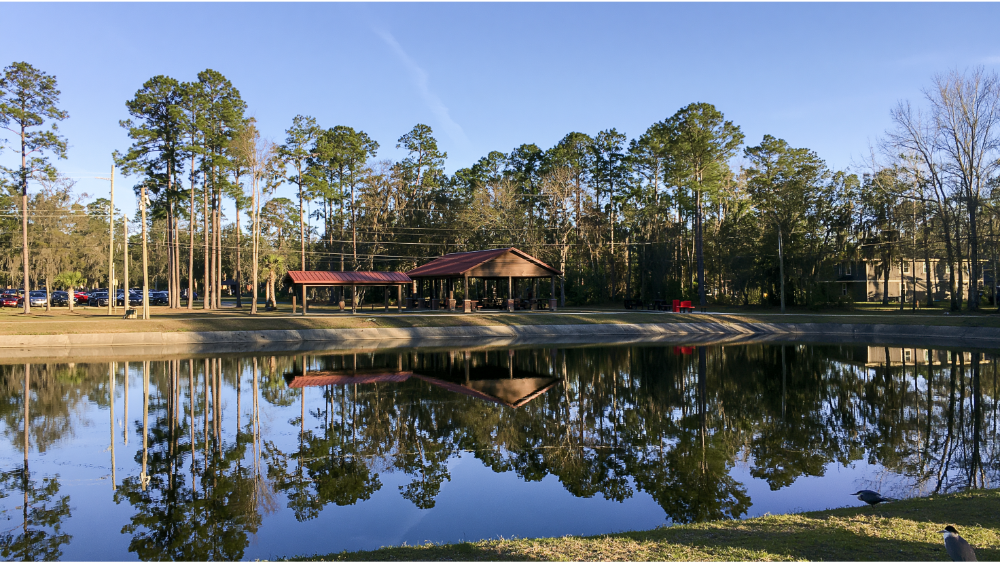 Things to Do at Tom Triplett Park and Beyond