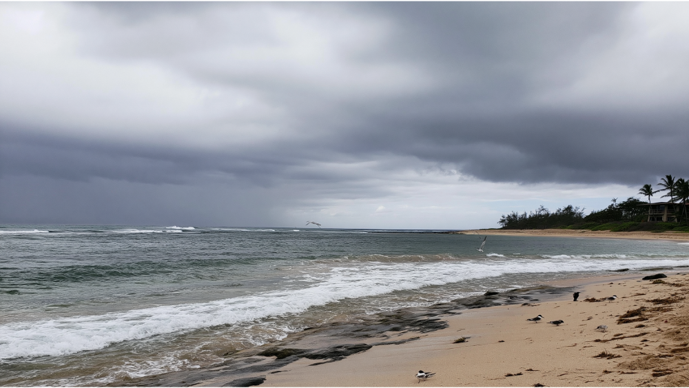 Utilities, Climate, and Flood Risk You Shouldn't Ignore