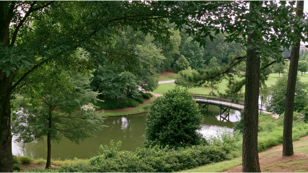 Wills Park, Big Creek Greenway, and Daily City Life in Alpharetta