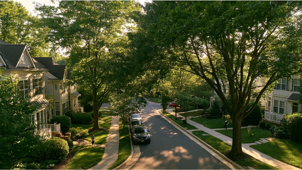 Tree-lined Rockville, Maryland neighborhood with detached homes, townhouses, sidewalks, and parked cars