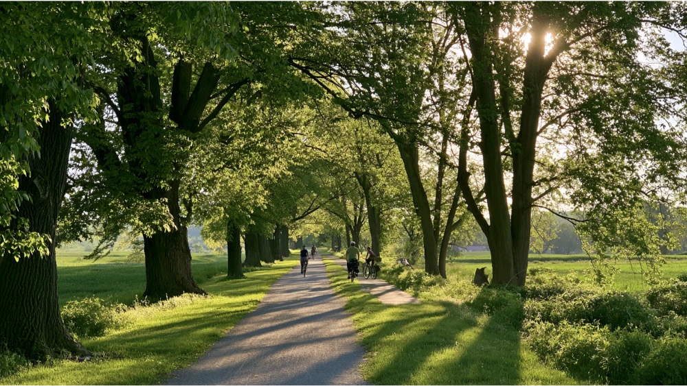 A scenic section of the Heritage Rail Trail near York, Pennsylvania, with a tree-lined walking and cycling path through the green countryside.