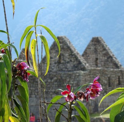 machu-picchu-2471343_1280