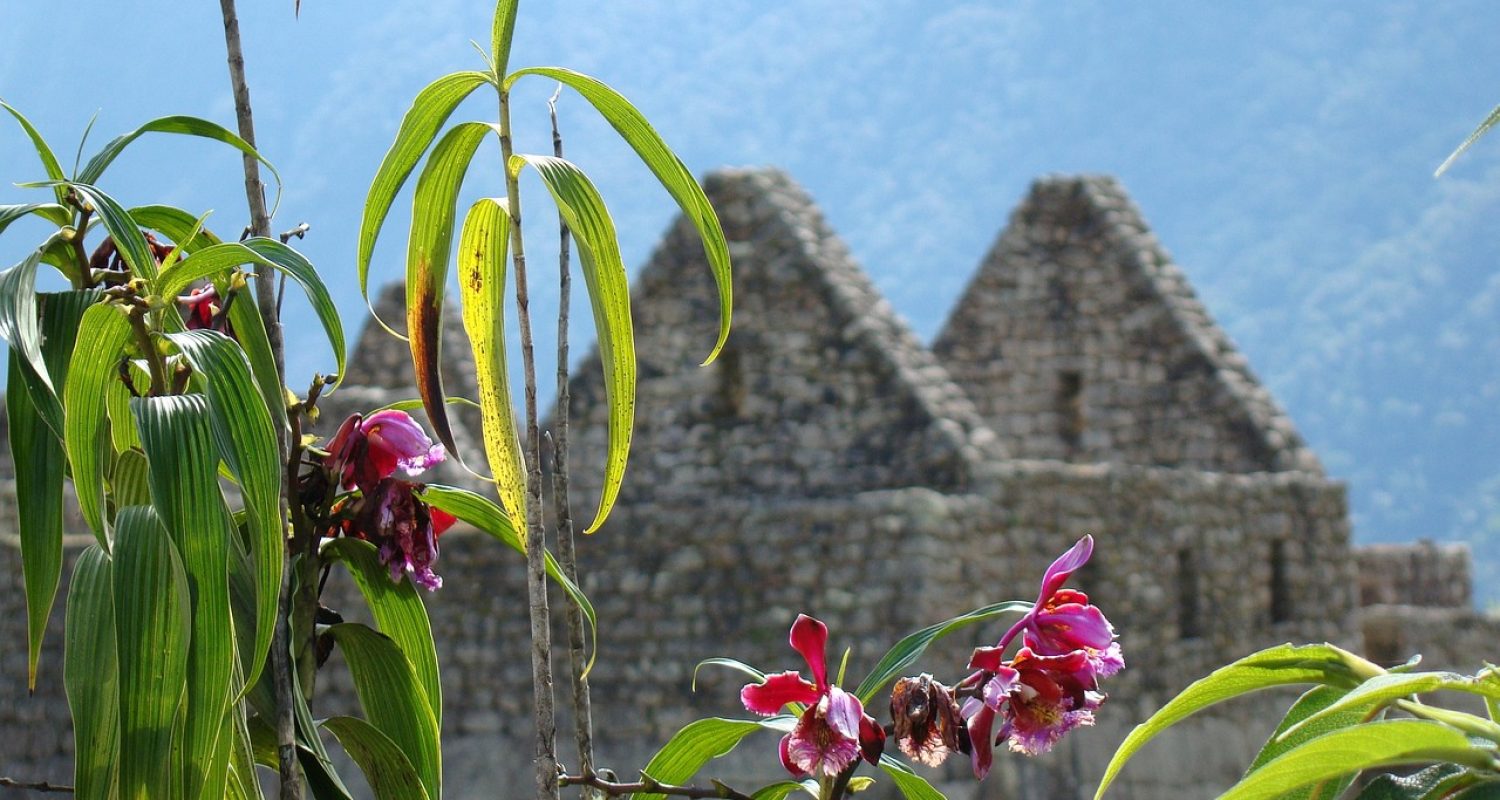 machu-picchu-2471343_1280