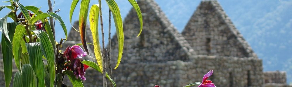 machu-picchu-2471343_1280