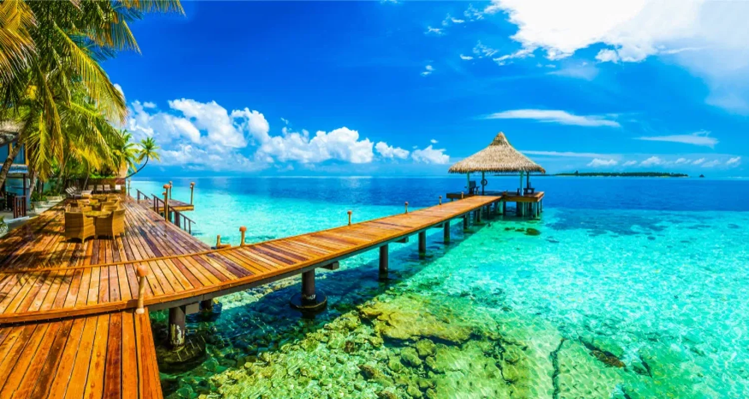 shutterstock_1051887026