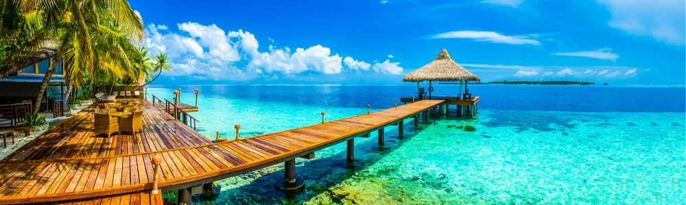 shutterstock_1051887026