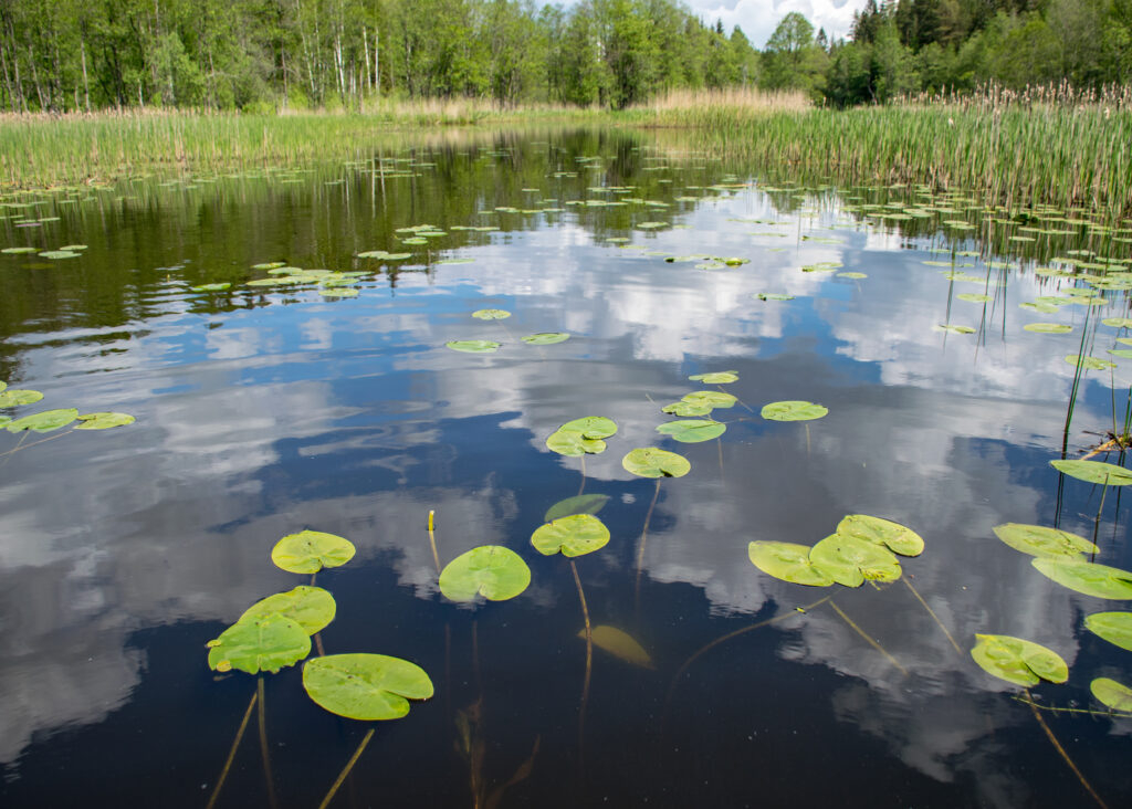 2414 1st Ave SW, Hickory